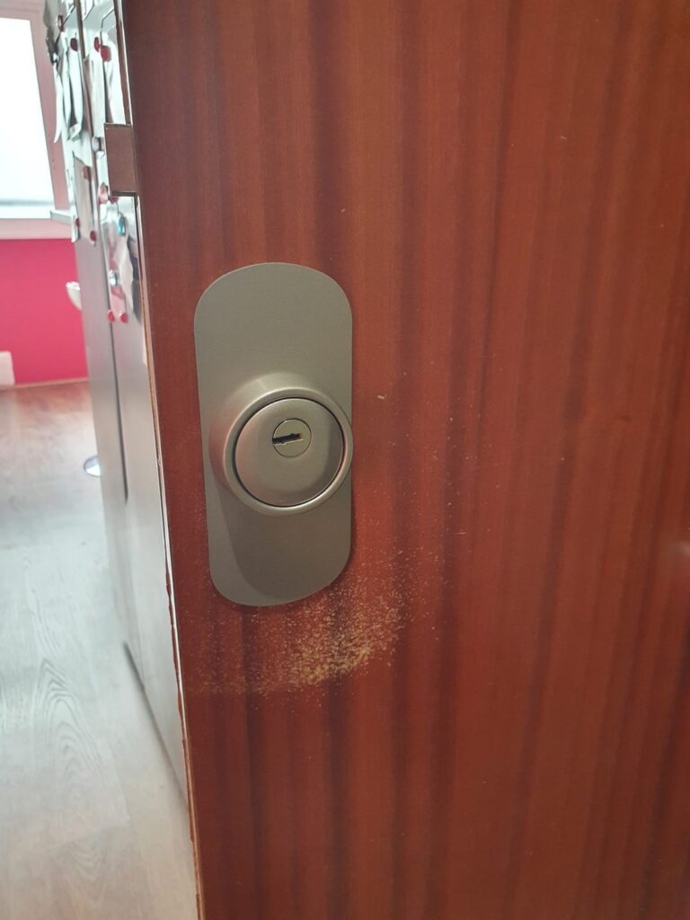 Apertura de puertas Los Vicentes
